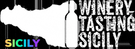 winerytastingsicily sicily GIF