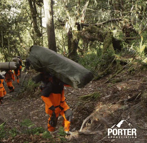 alisonriley829f giphyupload GIF