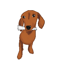 Wiener Dog Sticker