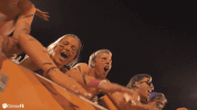 clemsontigers clemson clemsontigers death valley GIF