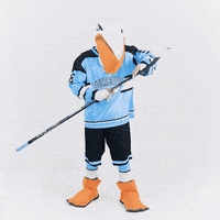 Mascot Celebrating GIF by Pelicans Lahti