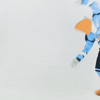 PelicansFi sports hockey mascot ice hockey GIF
