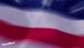 Memorial Day GIF by Charli Gurl