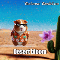 GIF by Guinea Gambino