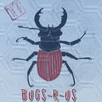 Art Bug GIF by NACHTSCHIMMEN Music-Theatre-Language NIGHTSHADES