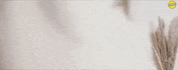 Rupan Bal GIF by Kalikwest