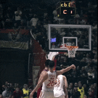 Crvena Zvezda Nedovic GIF