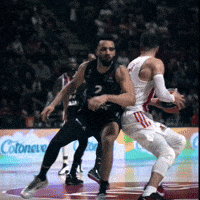 Crvena Zvezda Nedovic GIF