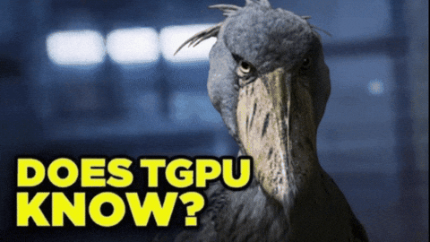 Riddler Does He Know GIF