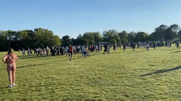 Six People Arrested After Brawl Breaks Out in London Park
