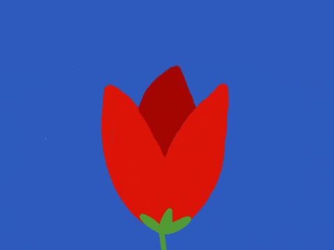 Honey Bee Flower GIF by Barbara Pozzi