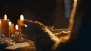 Winter Visittirol GIF by Tirol
