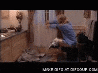 taco girlfriends GIF