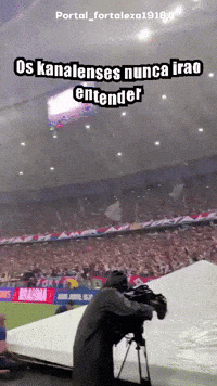 Lion Fec GIF