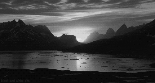 black and white sunset GIF