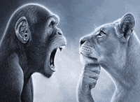 Monkey Lion GIF