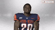 Cnfb GIF by Carson-Newman Athletics