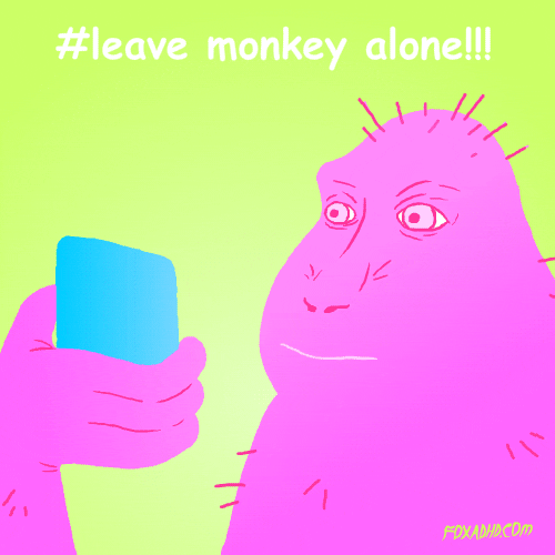 Animation Domination Lol GIF by gifnews