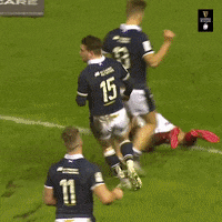 Come On Rugby GIF by Guinness Six Nations