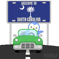 Driving South Carolina Sticker by Pudgy Penguins