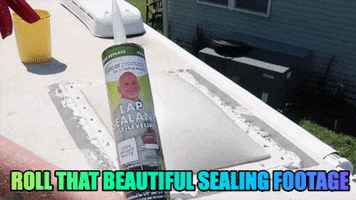 thelizwilcox rv GIF