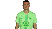 Football Looking Sticker by VfL Wolfsburg