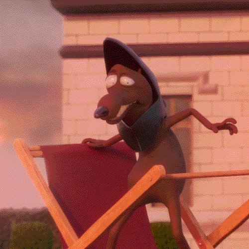 Dog Reaction GIF by ENSI