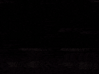 Kobe Bryant Win GIF