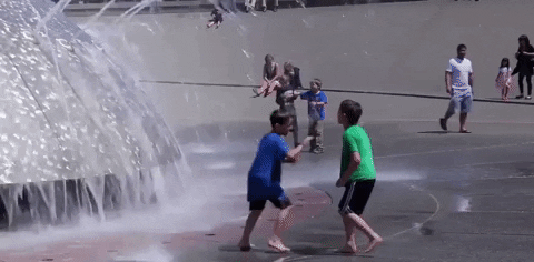 washington seattle GIF