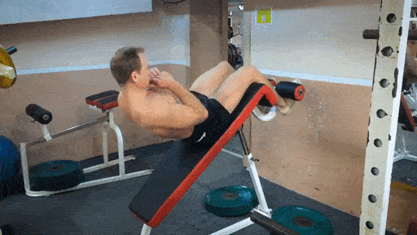 bodybuilding-and-fitness giphyupload press GIF