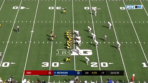 sletizia14 giphyupload GIF