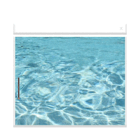 swimming pool summer Sticker by Missguided