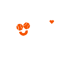 Houston Astros Basketball Sticker by Chevron Houston