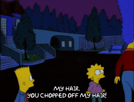 homer simpson GIF