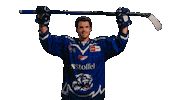 Clarke Michaelclarke Sticker by Straubing Tigers