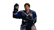 Pennydel Sticker by Straubing Tigers