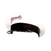 Dress Up Ice Cream Sticker by Yarnell's Ice Cream