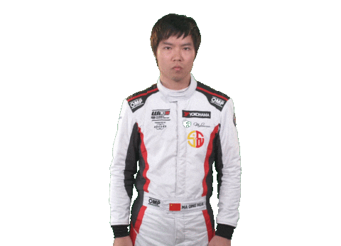 touring car celebration Sticker by FIA WTCR