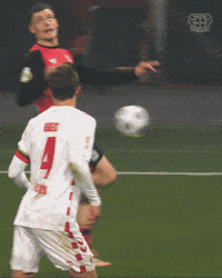 Bayer 04 Wow GIF by Bayer 04 Leverkusen