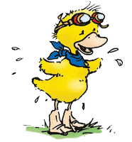 Ente Sticker by DLRG Bad Oldesloe