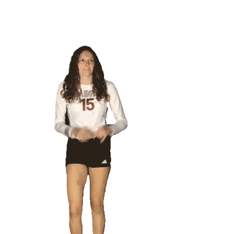 Volleyball Player Catching Ball Sticker by Aquinas Volleyball