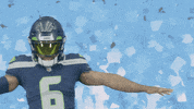 American Football GIF by Seattle Seahawks