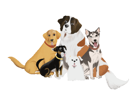 Aa Marco Sticker by Mandalasparaelalma