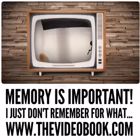 art memory GIF by The Videobook