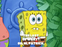 season 6 porous pockets GIF by SpongeBob SquarePants