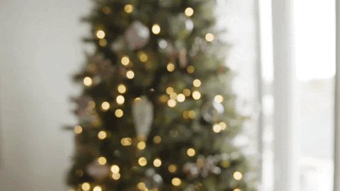 Christmas GIF by Northwood Church