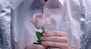 art flowers GIF by NOWNESS