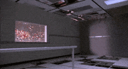 petals GIF by NOWNESS