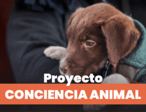 NotiJuy giphygifmaker GIF