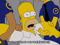 homer simpson eddie GIF